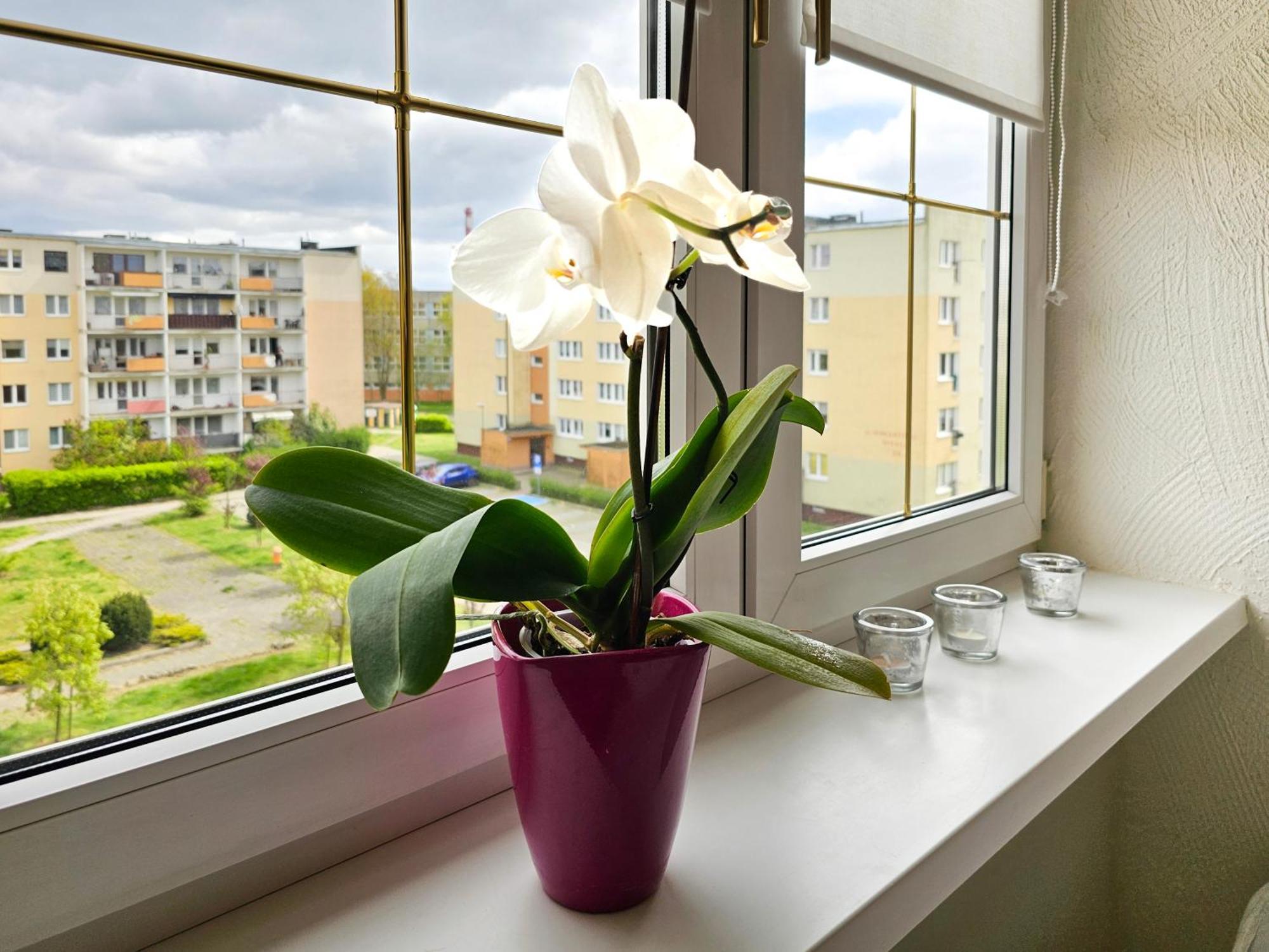 Visit Baltic - Apartament Sunny Świnoujście Exterior foto